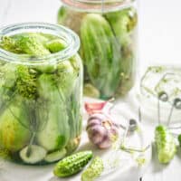 Fresh refrigerator pickles with fresh dill in a jar