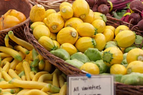 Stewed Tomato and Patty Pan Squash. You know you're in the dog days of summer when the patty pan squash make their appearance at your local farmer's market. 31Daily.com