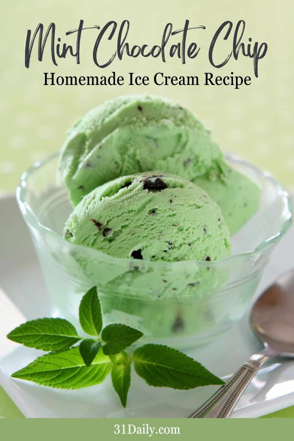 Homemade Mint Chocolate Chip Ice Cream Recipe 31 Daily Homemade Mint Chocolate Chip Ice Cream Recipe Pinterest Pin