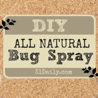 A corkboard with a sign that reads "DIY All Natural Bug Spray 31Daily.com," decorated with small black leaf illustrations, highlights an easy recipe for natural insect repellent.