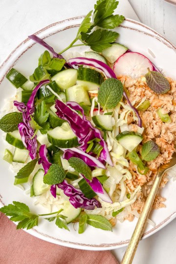 A plate with ground chicken, sliced cucumber, red cabbage, radish, shredded lettuce, and fresh herbs makes for one of the perfect healthy lunch ideas, served with a fork on the side.
