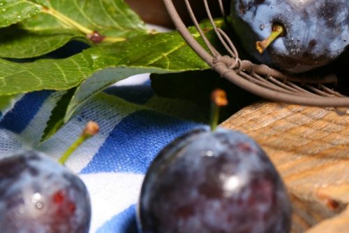 A wire basket filled with fresh Italian plums sits on a wooden surface next to a blue and white checkered cloth. A few plums and green leaves are scattered around. Text at the bottom reads: "A Savory Plum Chutney," with the website "31Daily.com".
