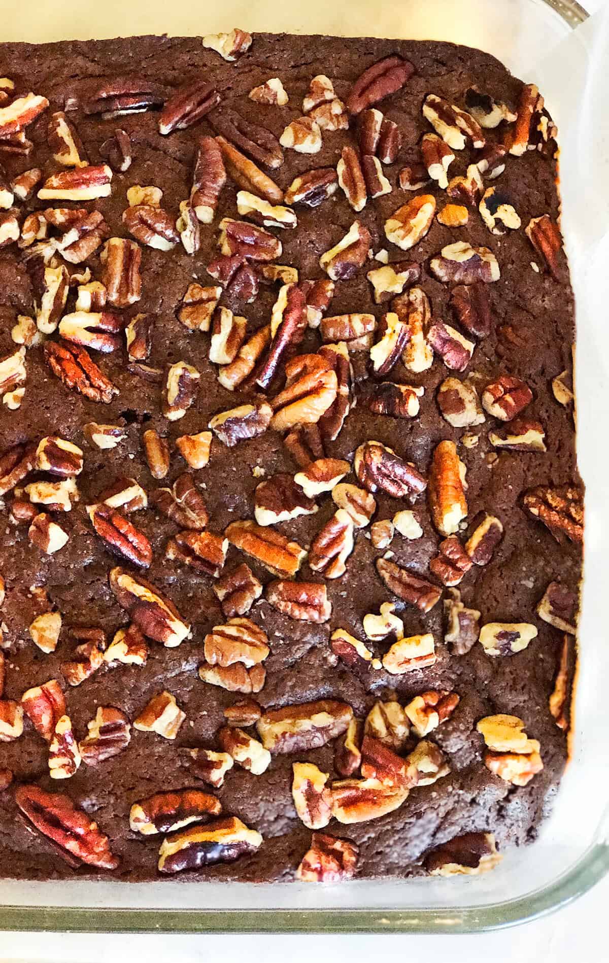 A close-up of a square pan filled with Espresso Chocolate Brownies topped generously with chopped pecans. The brownies have a rich, dark color and slightly cracked surface.