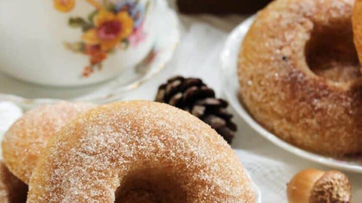 Old Fashioned Baked Apple Cider Doughnuts | 31Daily.com