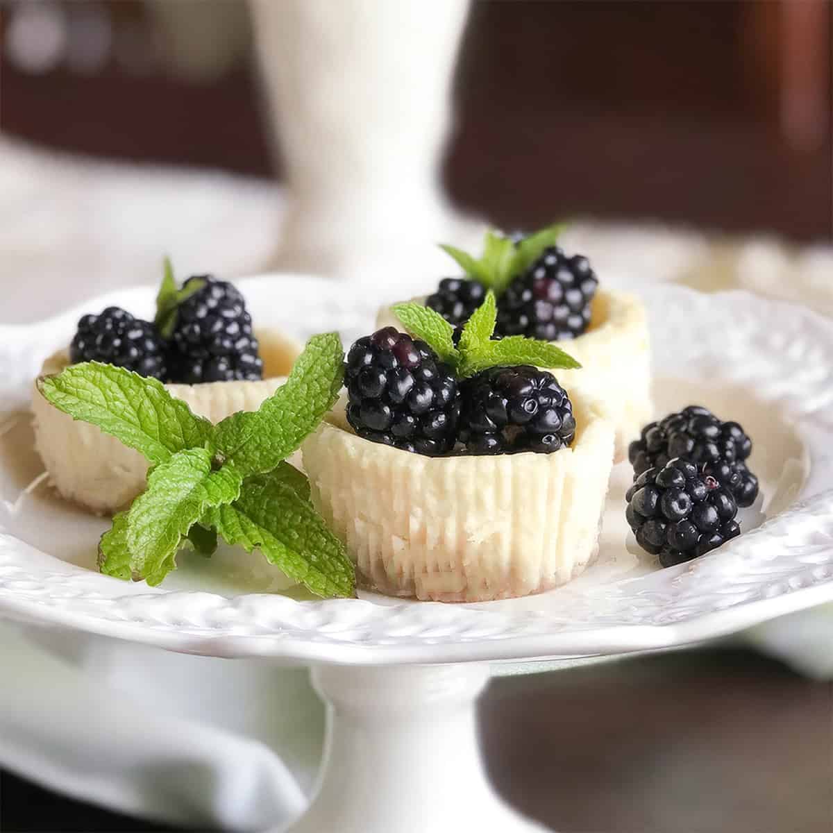 Two mini quark cheesecakes sitting on a white serving dish with sprigs of fresh mint.