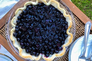 Fresh and Easiest Ever Open Face Blueberry Pie | 31Daily.com