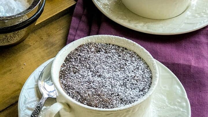 2 Minute Gingerbread Cake in a Mug | 31Daily.com