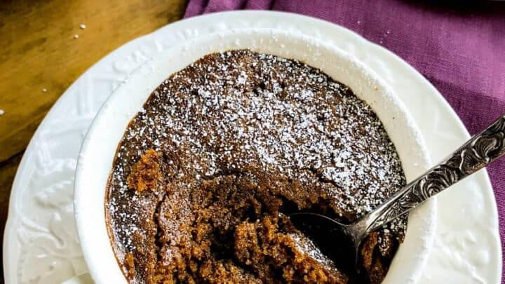 2 Minute Gingerbread Cake in a Mug | 31Daily.com