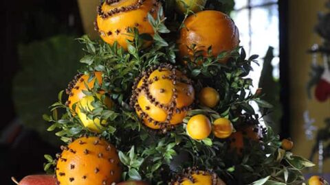 A decorative arrangement of orange pomanders, pears, greenery, and small yellow fruits, shaped into a tree and displayed on a glass pedestal.