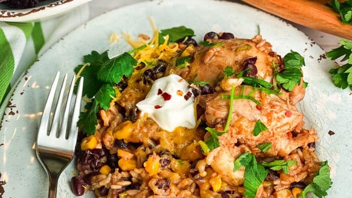 Top View of Quick Instant Pot Chicken Burrito Bowls on a White Plate