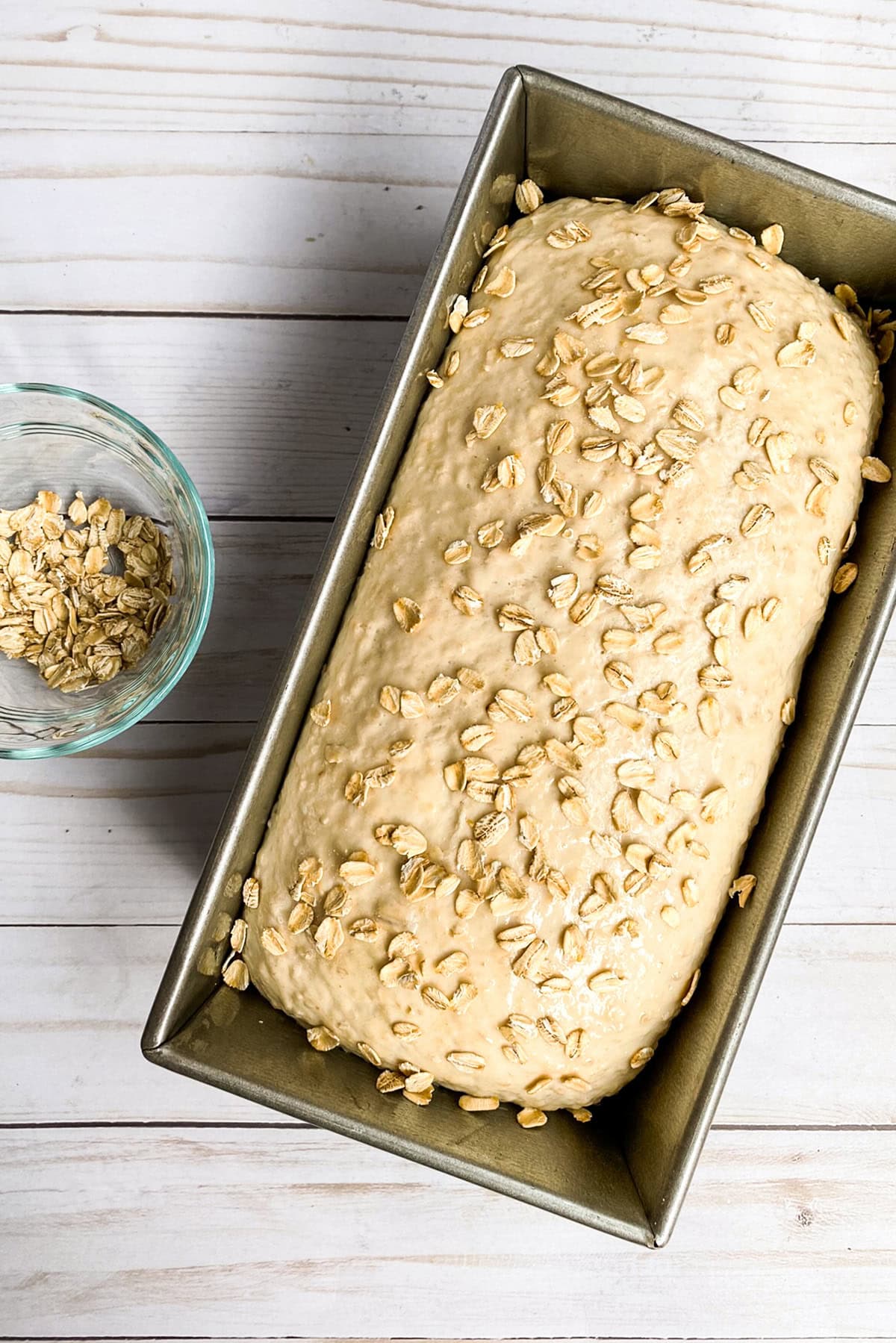 Unbaked risen honey oat bread dough in a loaf pan and topped with raw oats, ready for baking.