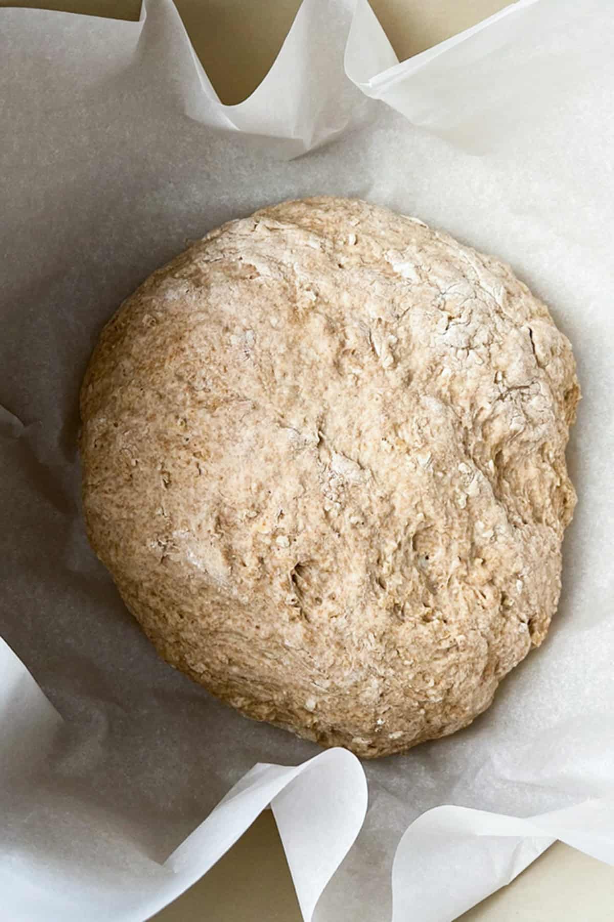 Last whole wheat no knead bread dough rise in a parchment lined bowl ready for baking.