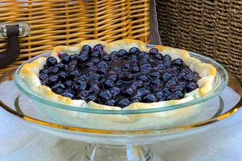 Open Faced Blueberry Pie at a Picnic