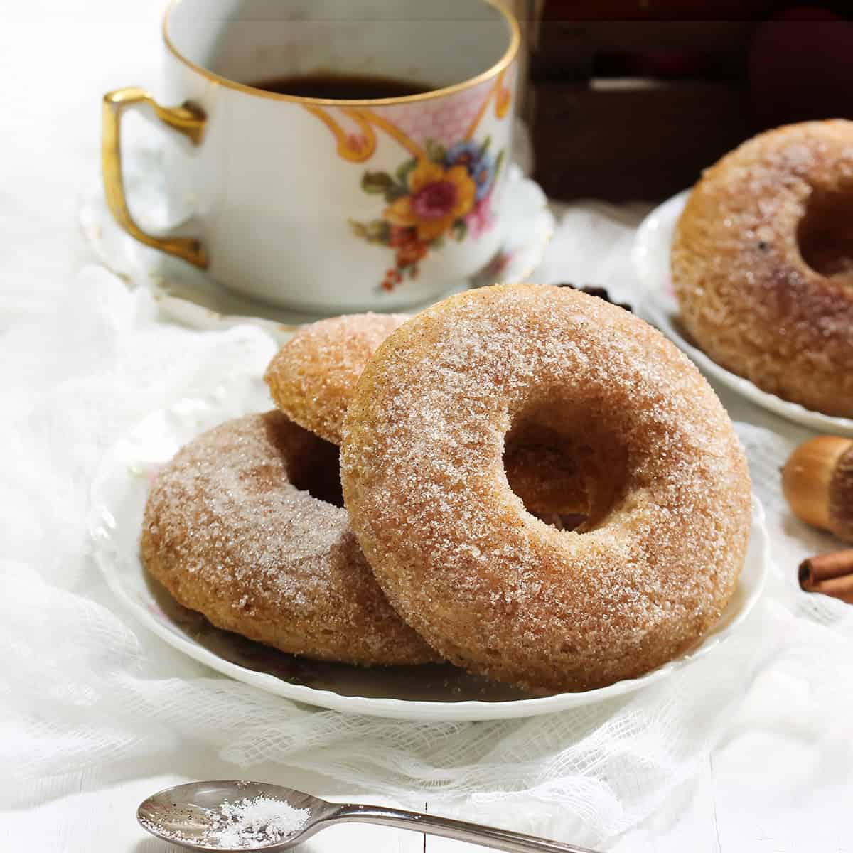 Close up plate with cinnamon sugar coated baked apple cider donuts on a white place with a teacup in the background.