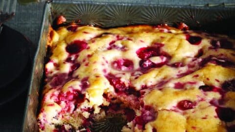 Image for Bushberry pudding cake recipe