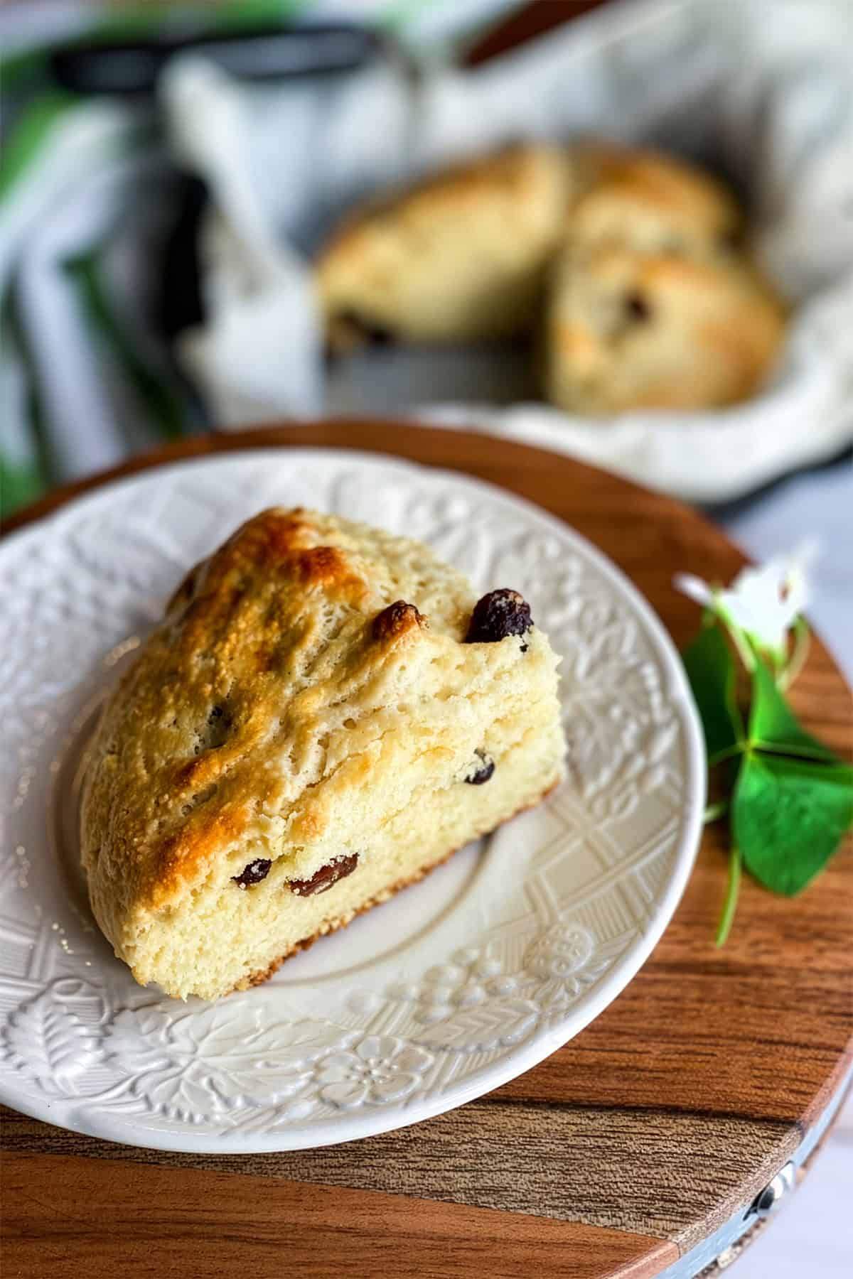 A triangular Irish Soda Bread raisin scone sits on a white patterned plate, with more scones and a small sprig of greenery in the background.