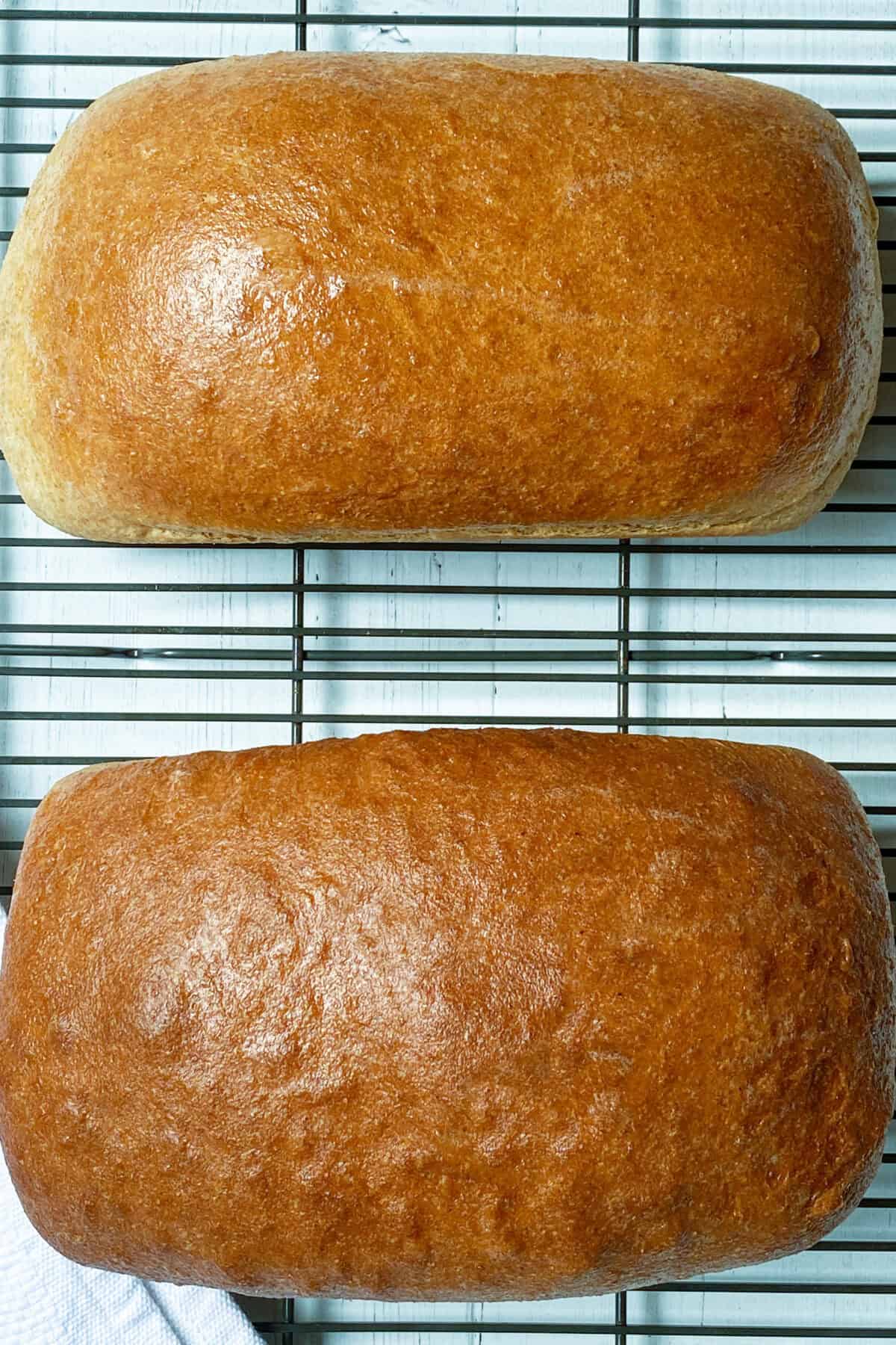 Two golden brown loaves of whole wheat bread cooling on a wire rack, seen from above on a light-colored surface.
