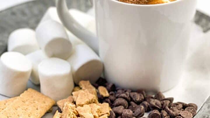 Side view of S'mores Mug Cake with garnishments