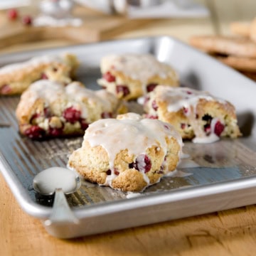 Closeup view of ginger cranberry scones glazed with vanilla icing and cooling on a metal rack.