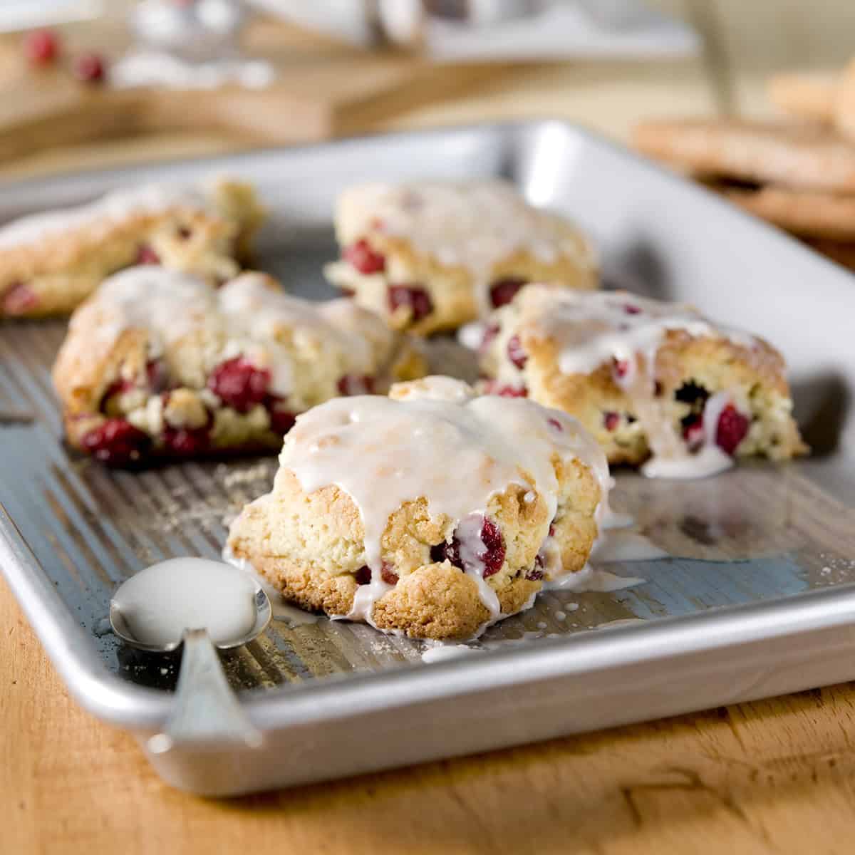 Closeup view of ginger cranberry scones glazed with vanilla icing and cooling on a metal rack.