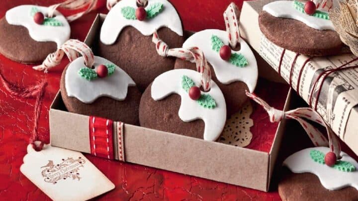 Image for Pudding biscuits