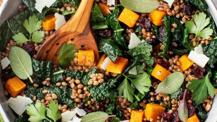 Top view of fall rustic salad with lentils, butternut squash, kale and fresh herbs in a bowl.