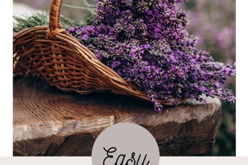 A wicker basket filled with freshly cut lavender sits on a wooden surface, with blurred tea garden plants in the background. Text below reads: "How to Grow a Tea Garden & Brew its Tea.