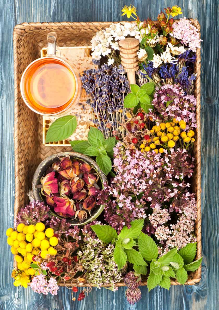 Drying herbs from a tea garden in a basket