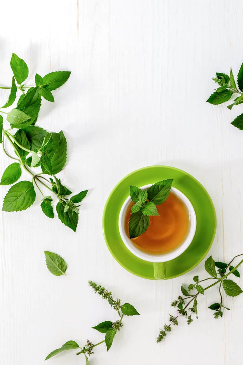 Top view of Mint Tea in a green teacup