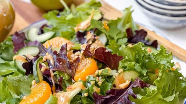 Closeup view of Mandarin Orange Salad with drizzles of Thai Crunch Salad Dressing