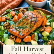 Single-image poster of Fall Harvest Salmon Salad featuring grilled salmon, roasted sweet potatoes, avocado, and greens on a dark background with earthy autumn tones.
