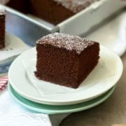 A single slice of decadent chocolate cake with powdered sugar on top sits on a small white plate, with a cake pan and more chocolate cake in the background.