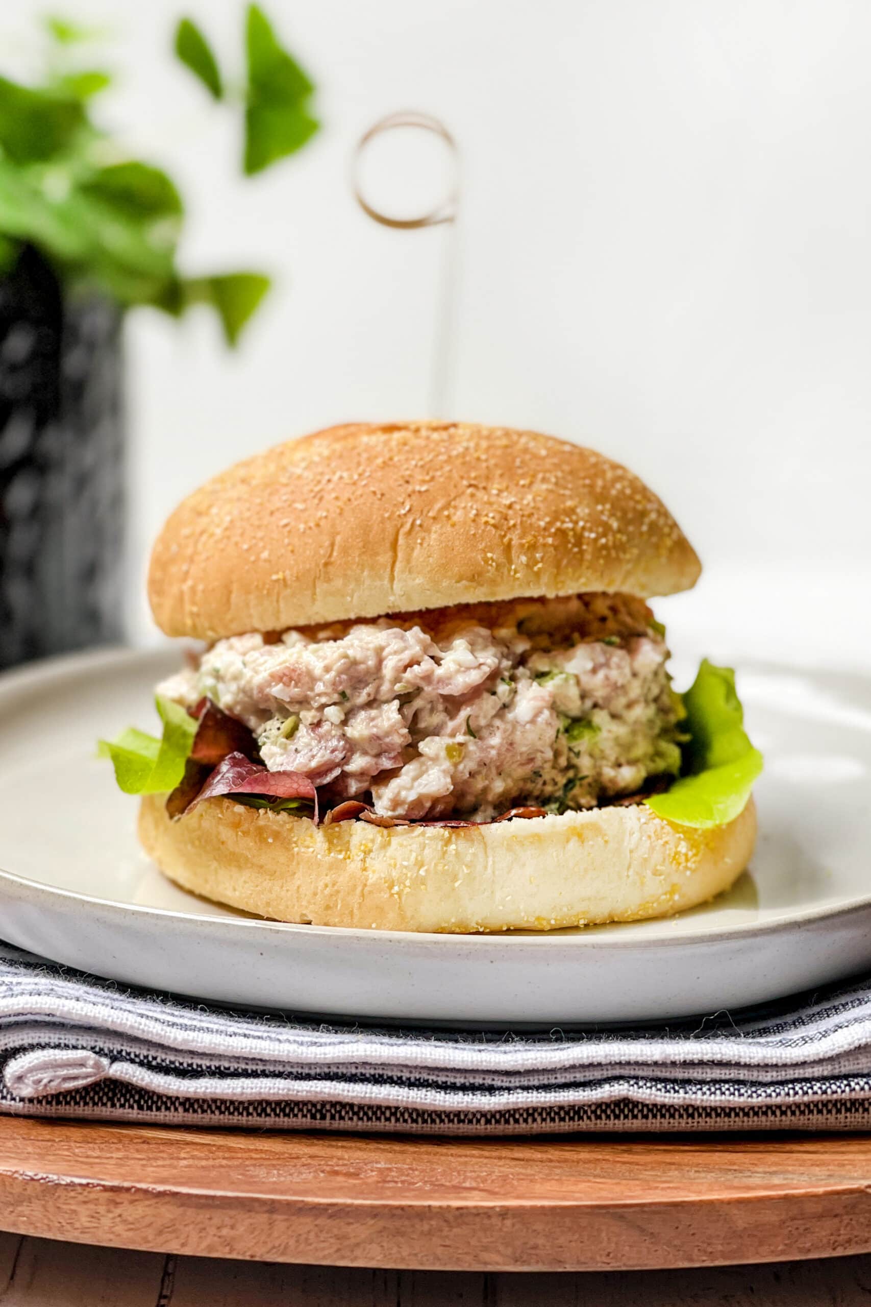 Closeup view of Ham Salad on a bun