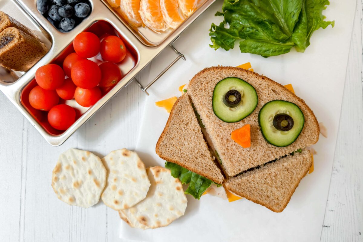 Top view of back-to-school sandwich in the shape of an owl with a bento box in the background