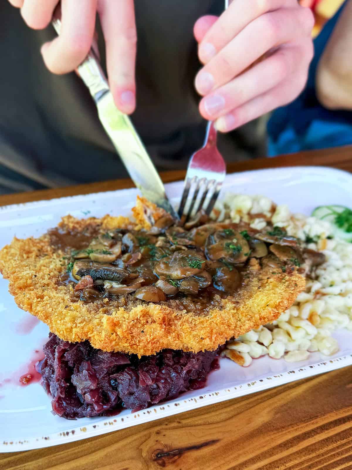 Plate of schnitzel with spaetzle, red cabbage, and mushroom gravy in Leavenworth, Washington.