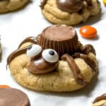 Closeup view of peanut butter chocolate spider cookies with candy eyes.