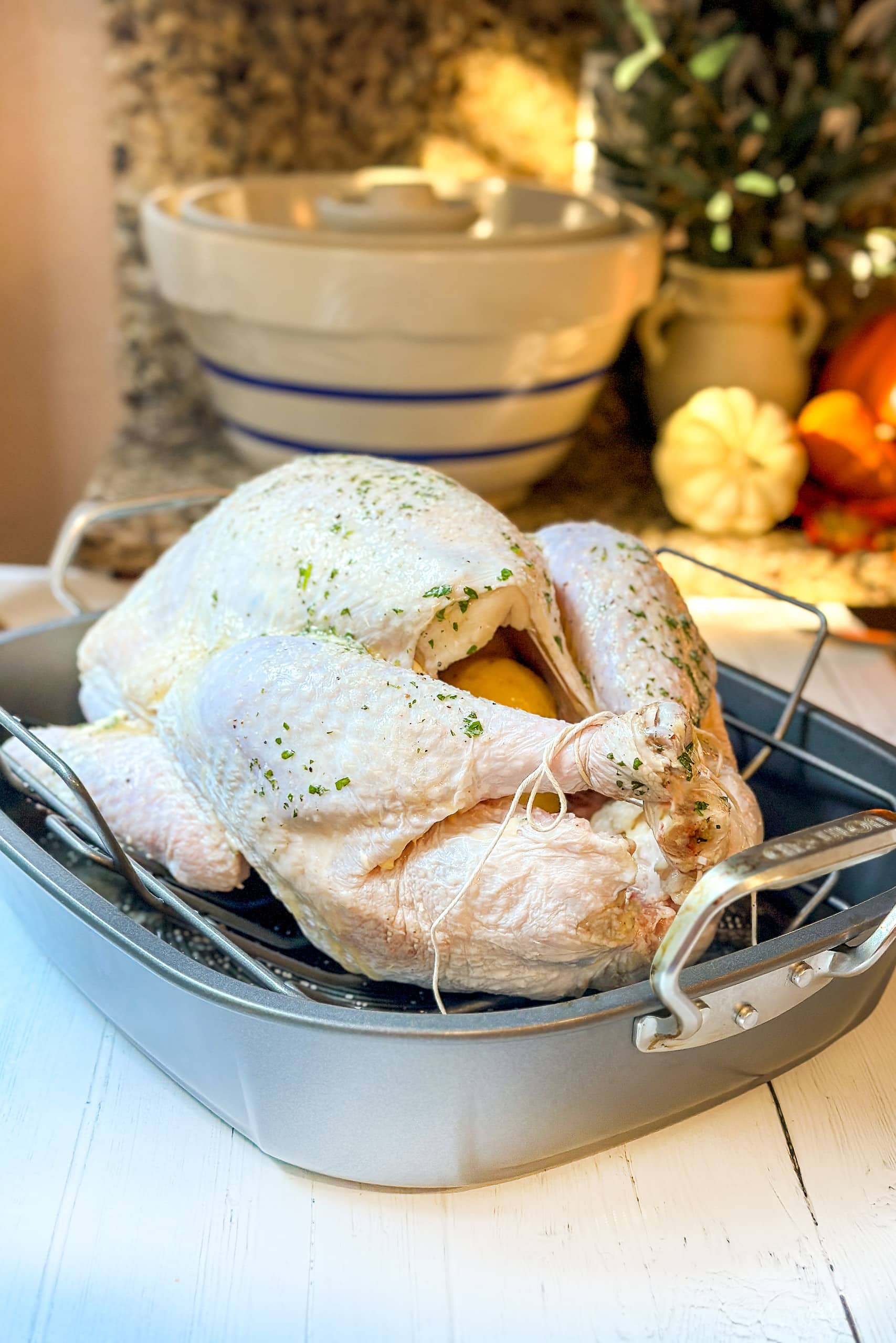 Side view of uncooked turkey in a roasting pan ready for the oven.