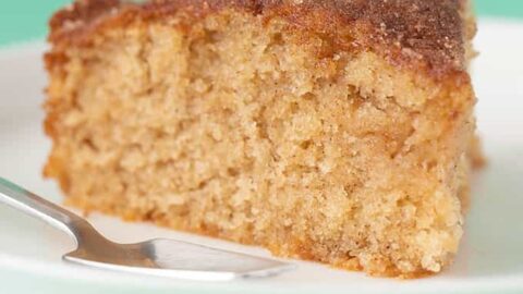 A slice of cinnamon cake on a white plate against a mint green background. The cake is golden-brown and looks moist, with a slightly crumbly texture on top. A small silver fork is placed beside the cake on the plate.