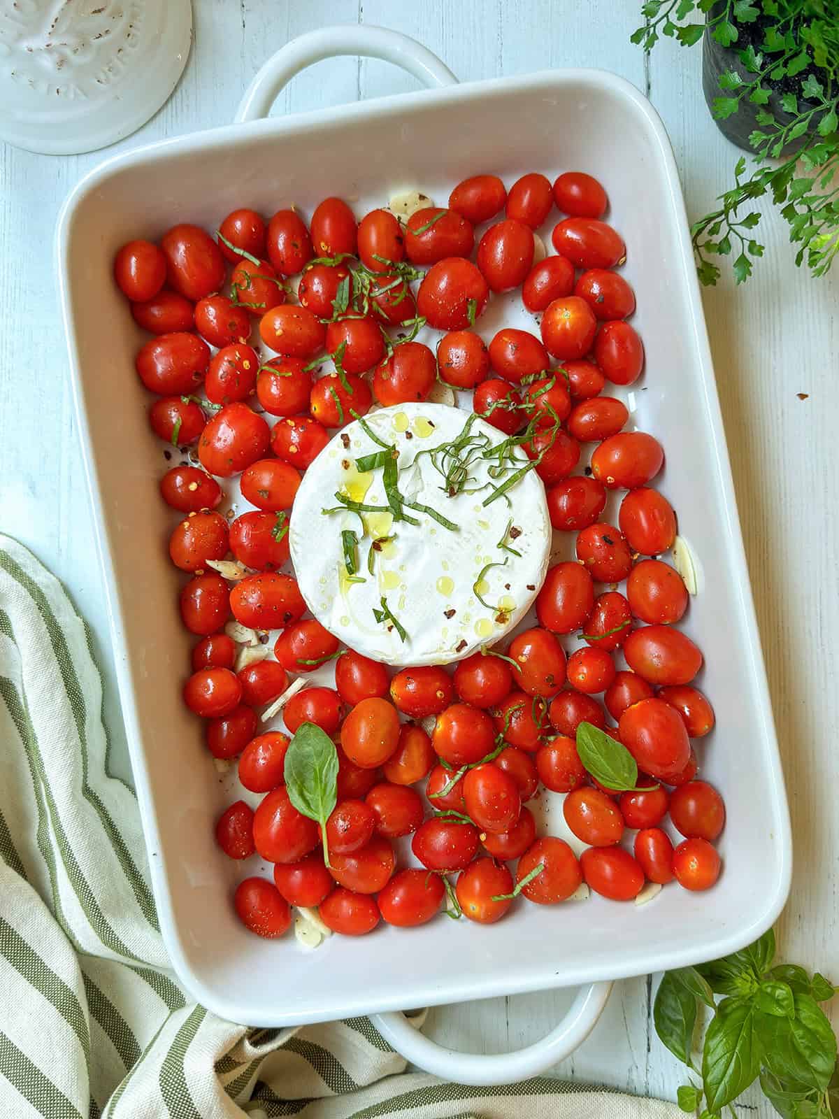 A baking dish filled with cherry tomatoes and a round of cheese in the center, topped with sliced basil and olive oil, creates the perfect base for a delicious baked brie pasta.