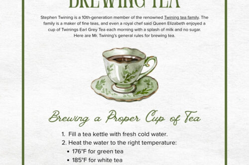 An illustrated guide titled "Quick Guide to Brewing Tea" features a teacup and saucer. Discover essential tips for brewing tea, including water temperatures and steeping times for green, white, and black tea.