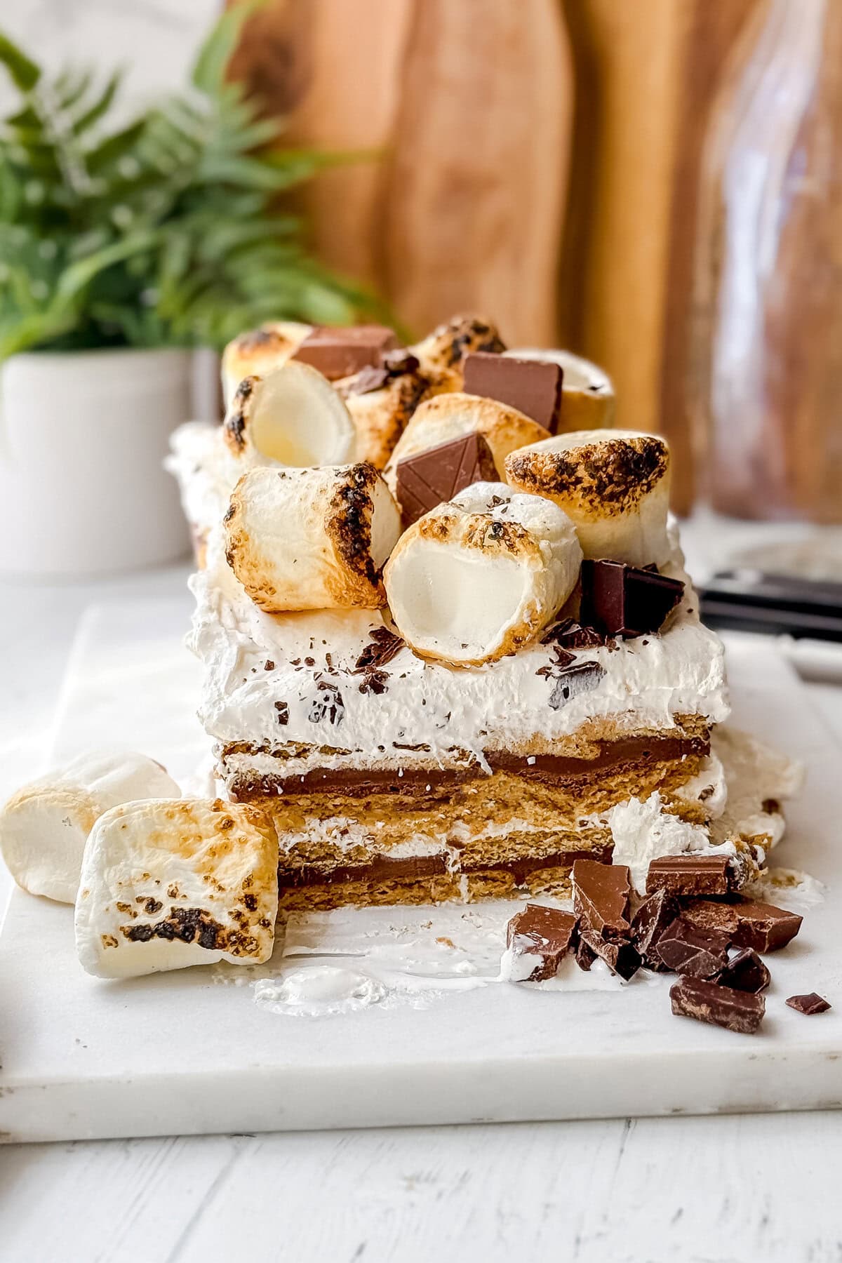 A no-bake s'mores icebox cake with layers of graham crackers, whipped cream, toasted marshmallows, and chocolate pieces sits on a white surface, with a plant and wooden boards in the background.