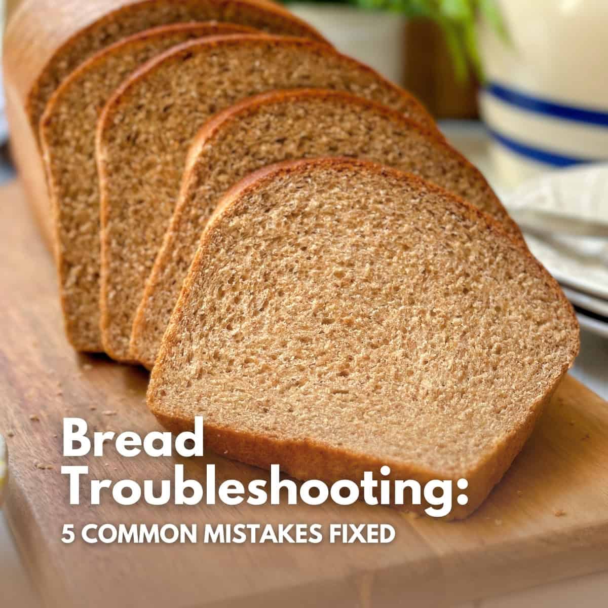 A sliced loaf of homemade whole wheat bread showing perfect internal texture for a troubleshooting guide.