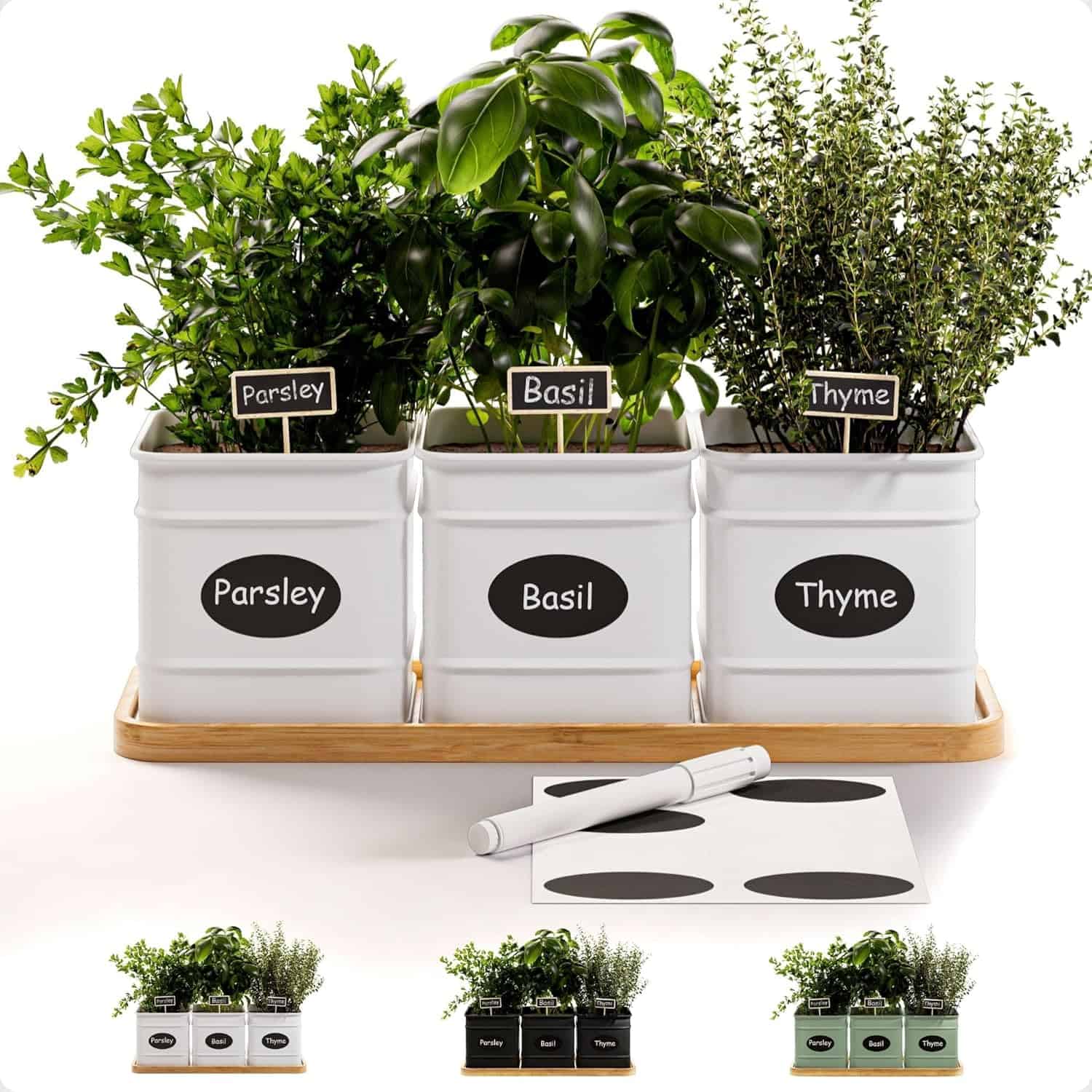 Three white metal planters labeled parsley, basil, and thyme hold fresh herbs-perfect for showcasing your first greens-on a wooden tray, with a marker and blank labels in front. Four color options are shown below.