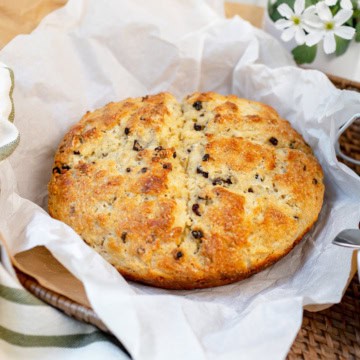 Round loaf of golden-brown spotted dog Irish soda bread with visible raisins, placed on parchment paper in a wicker basket.