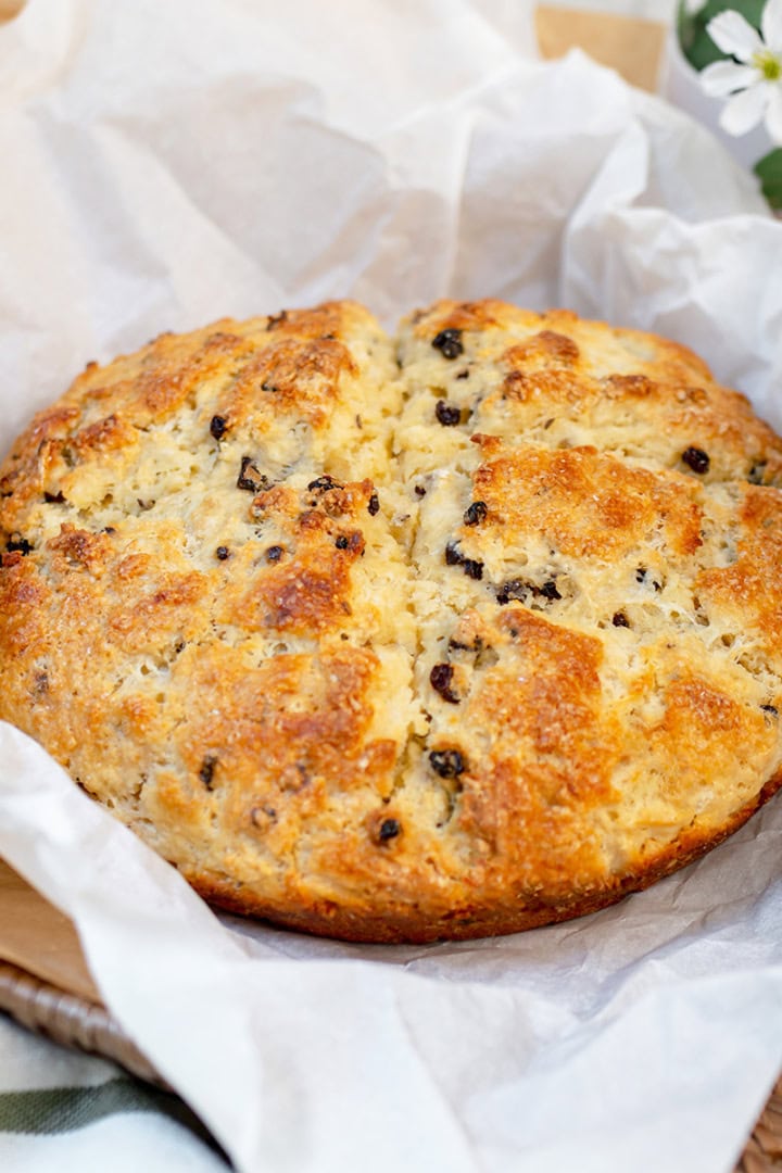 Round loaf of golden-brown spotted dog Irish soda bread with visible raisins, placed on parchment paper in a wicker basket.