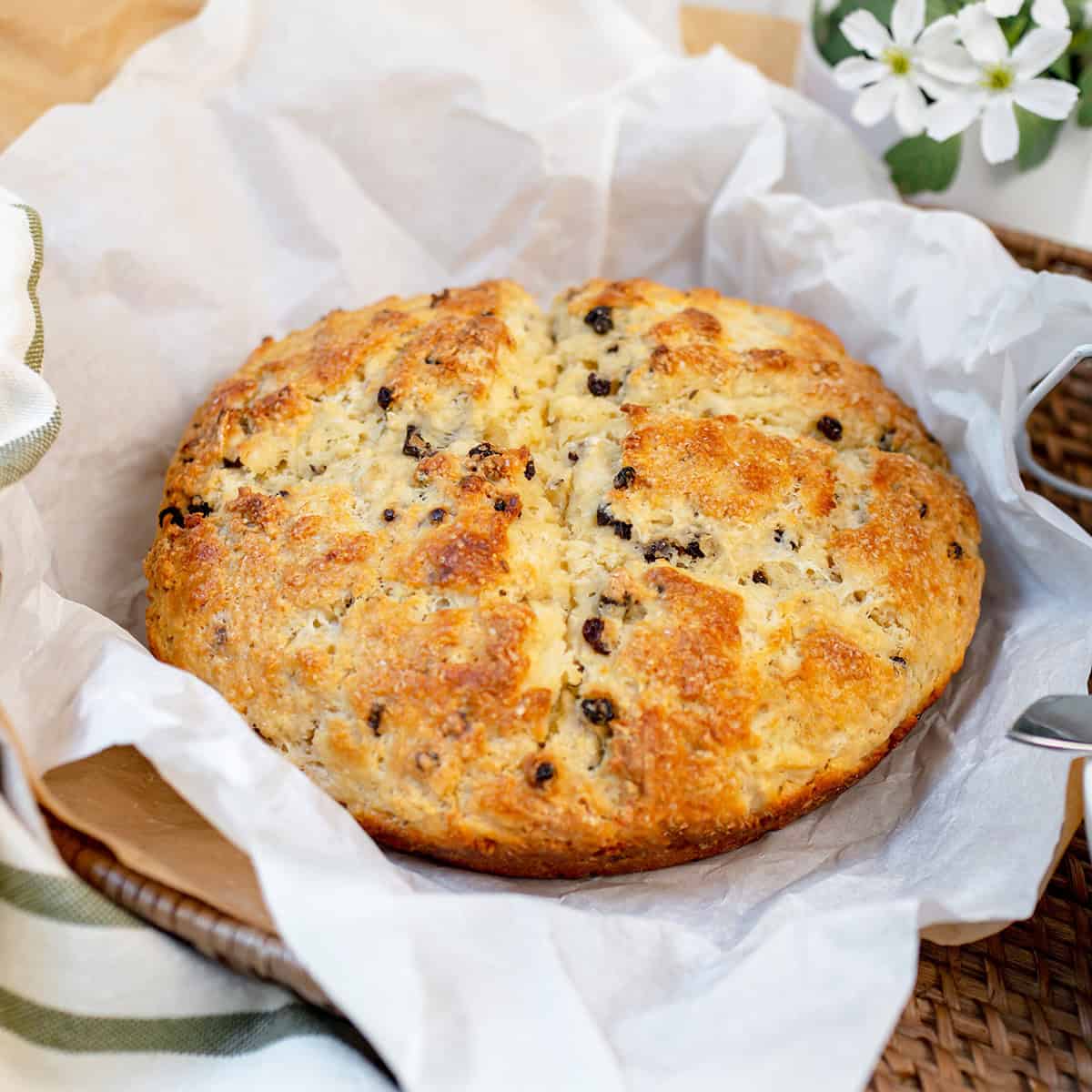 Round loaf of golden-brown spotted dog Irish soda bread with visible raisins, placed on parchment paper in a wicker basket.