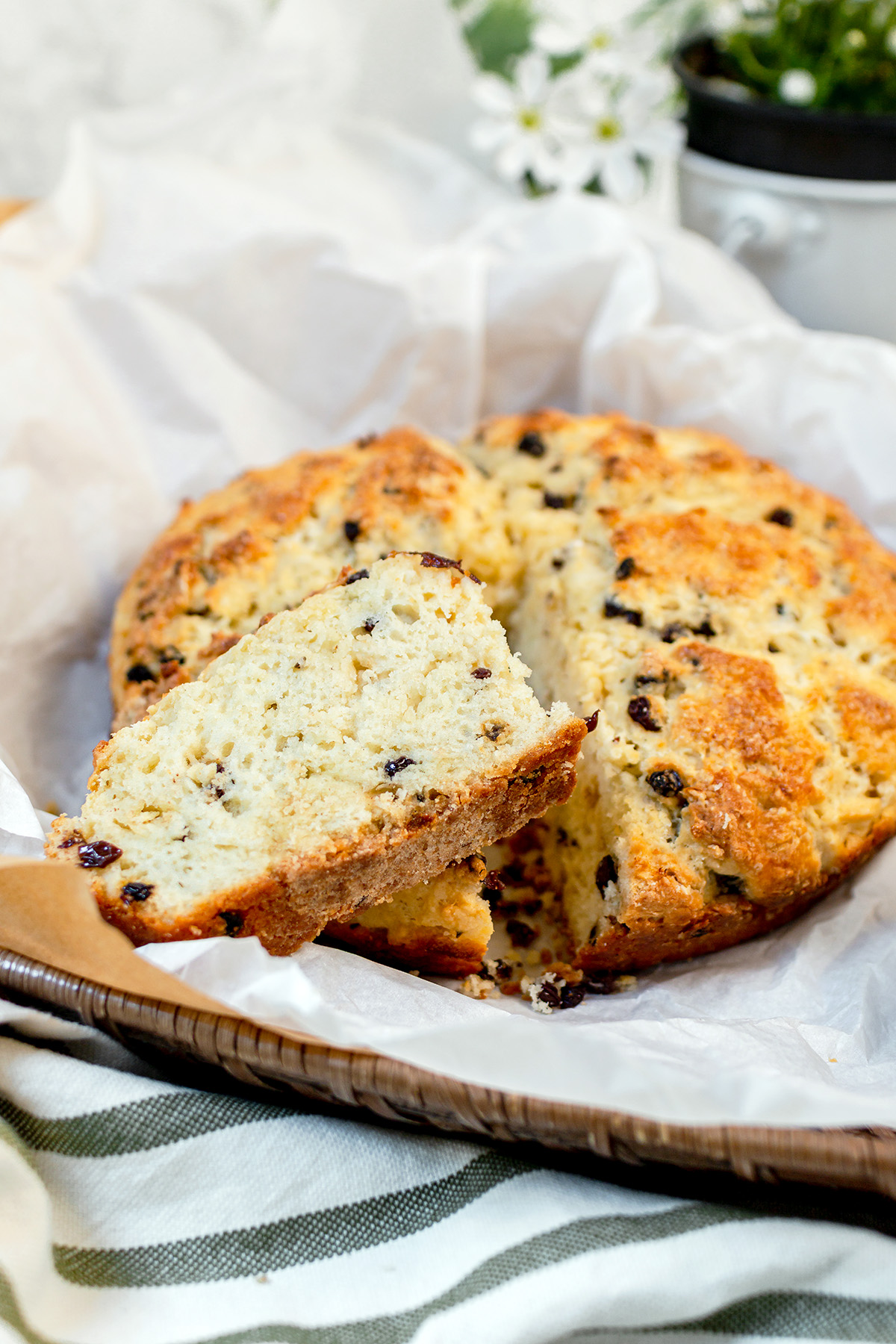 A round loaf of spotted dog Irish soda bread with raisins, partially sliced, sits on parchment paper in a basket with a striped cloth underneath.