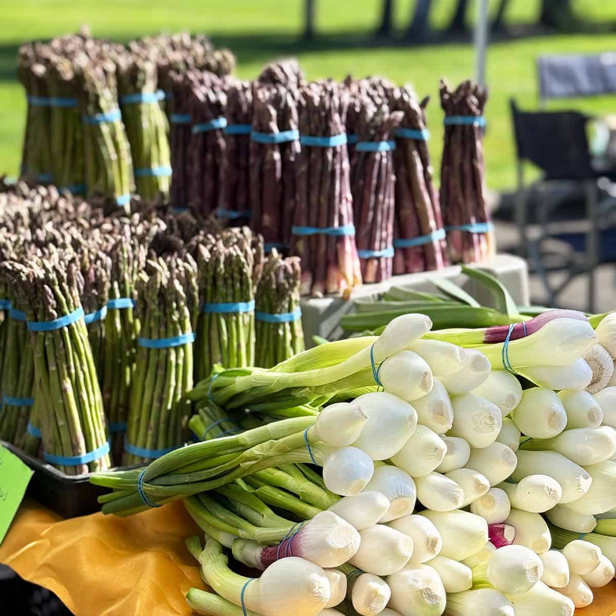 Bundles of fresh green and purple asparagus and white spring onions are displayed on a table at an outdoor market, perfect for adding a farm-fresh foods to 31Daily's Sunday Edit May Table.
