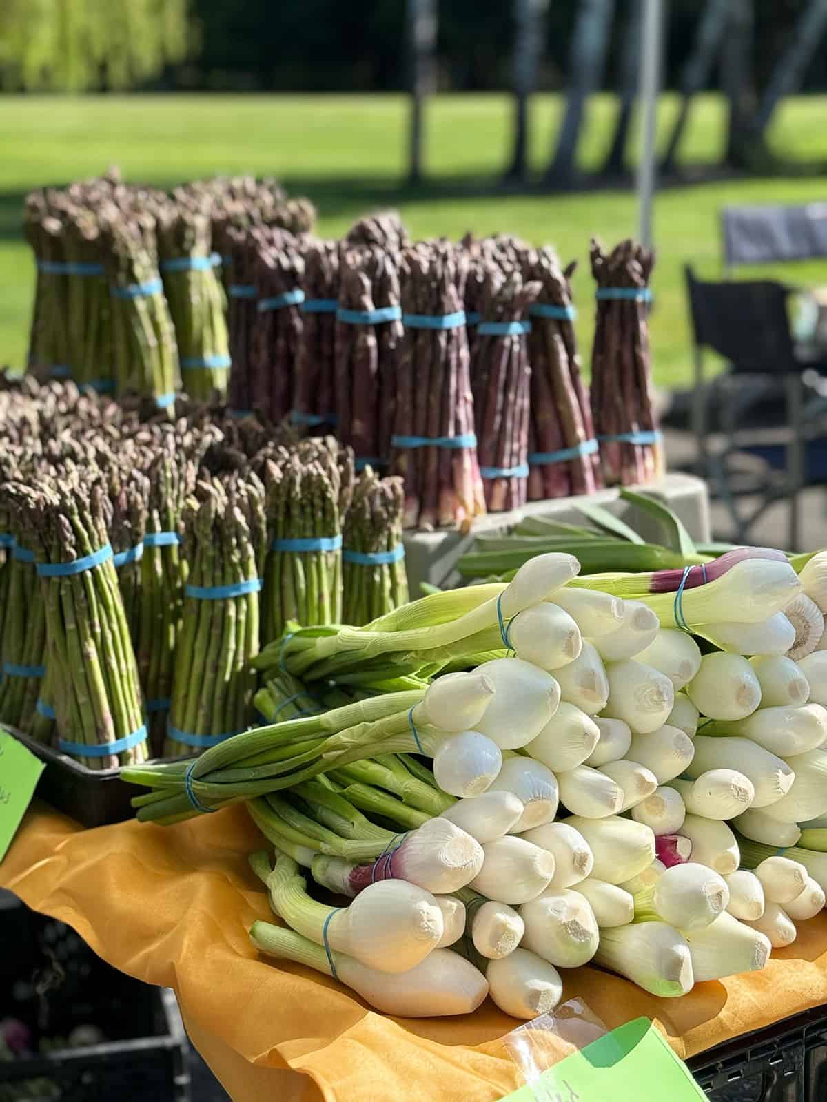 Bundles of asparagus and fresh spring onions are displayed on a table at an outdoor market, evoking the freshness featured on a May seasonal table. 