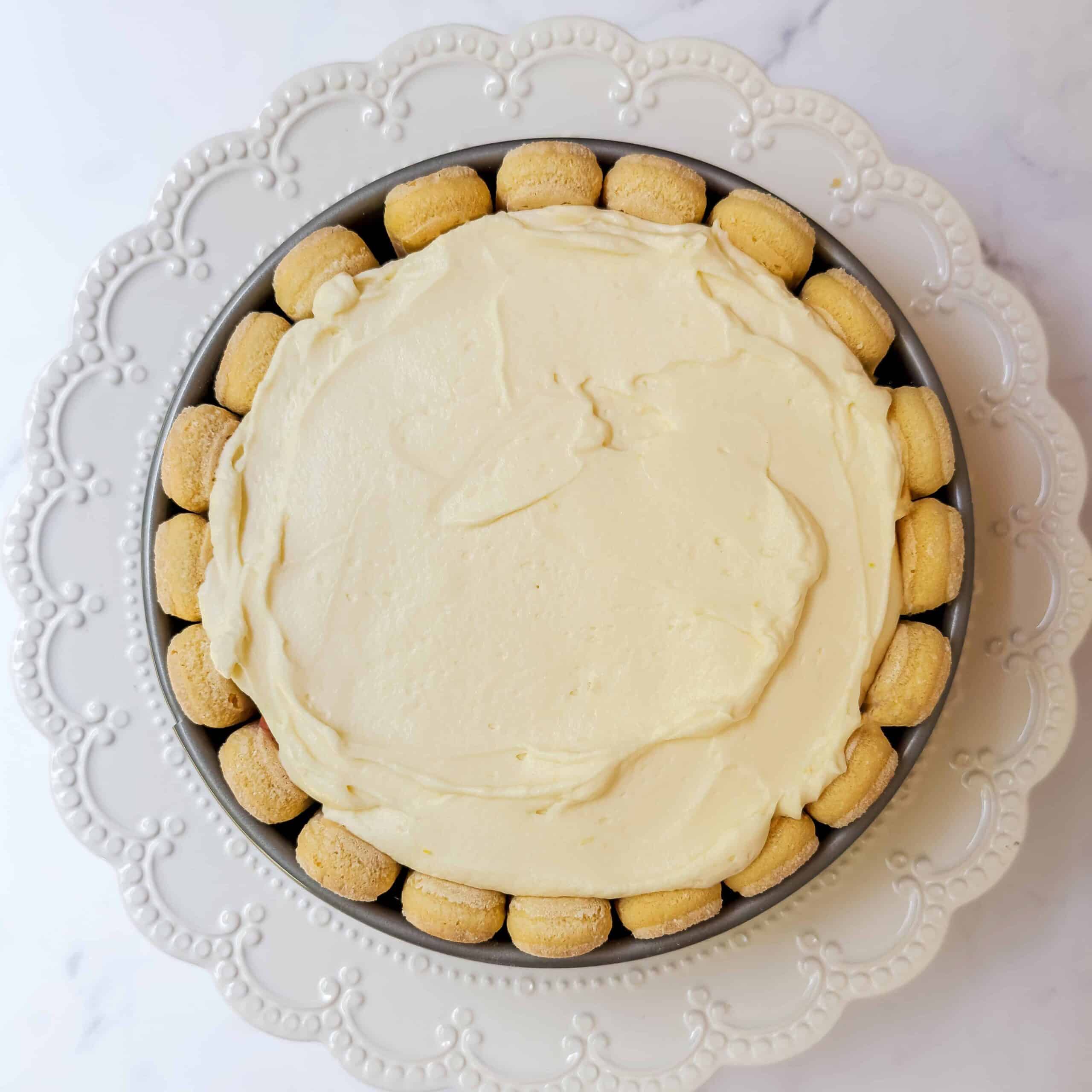 A round Lady Charlotte Cake with a smooth Chantilly cream top, surrounded by ladyfinger biscuits, on a decorative white plate.